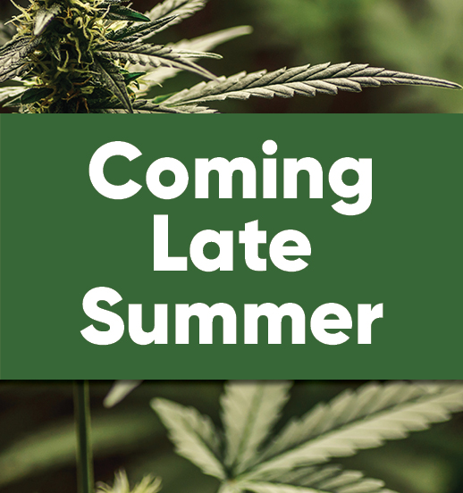 Bridgeport location coming in late summer