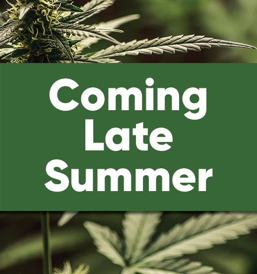 Bridgeport location coming in late summer