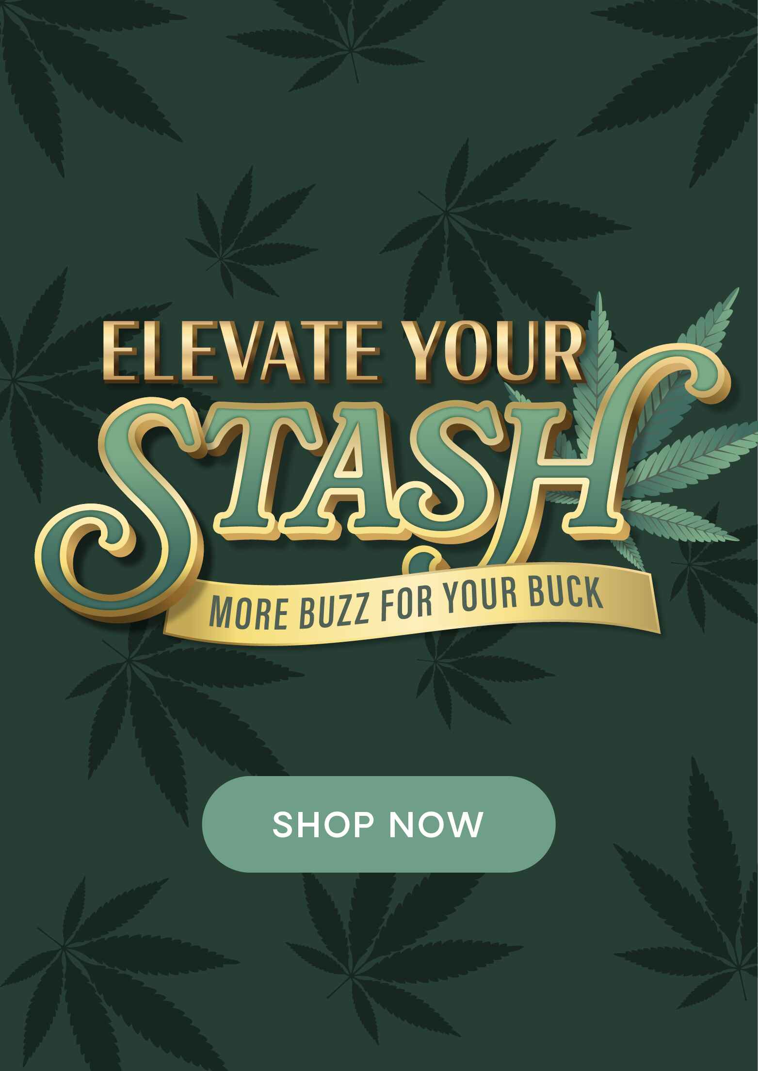 Elevate Your Stash